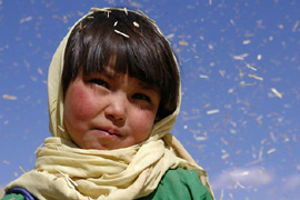 kandahar-5