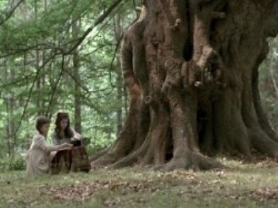 photographing-fairies