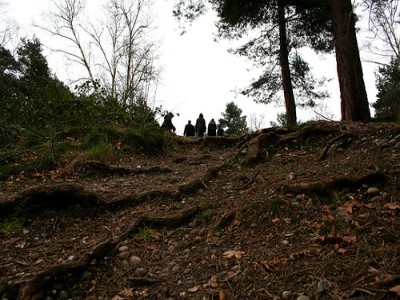 photographing-fairies