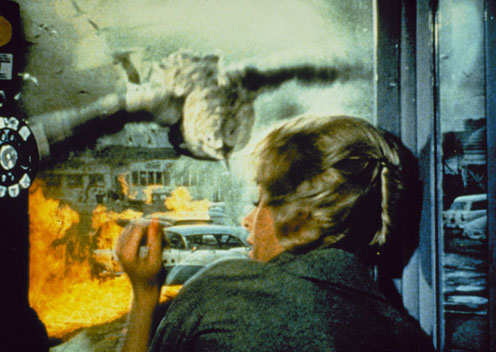 Tippi gerçekten zor durumda! Tippi gerçekten zor durumda!