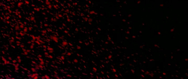 Lady Snowblood Lady Snowblood