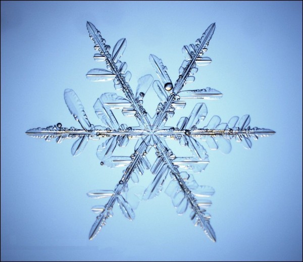 Altıgen Kar Tanesi Altıgen Kar Tanesi