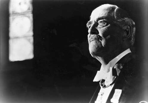 Wild-Strawberries-yaban-cilekleri