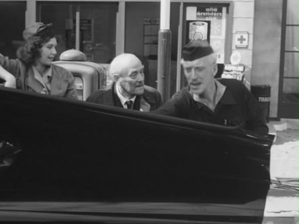 bergman-yaban-cilekleri