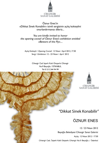 oznur-enes-dikkat-sinek-konabilir