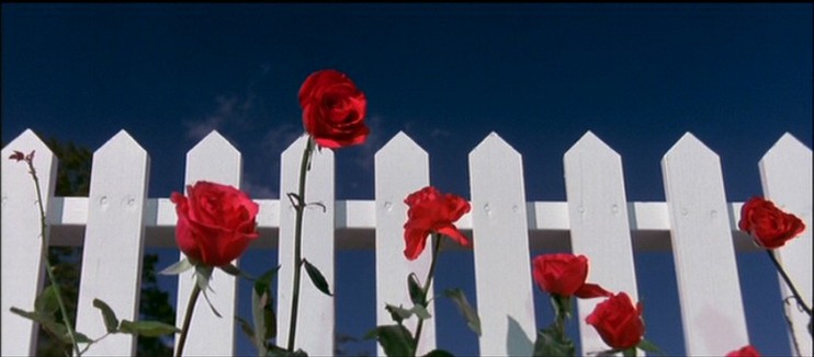 blue-velvet-kara-film