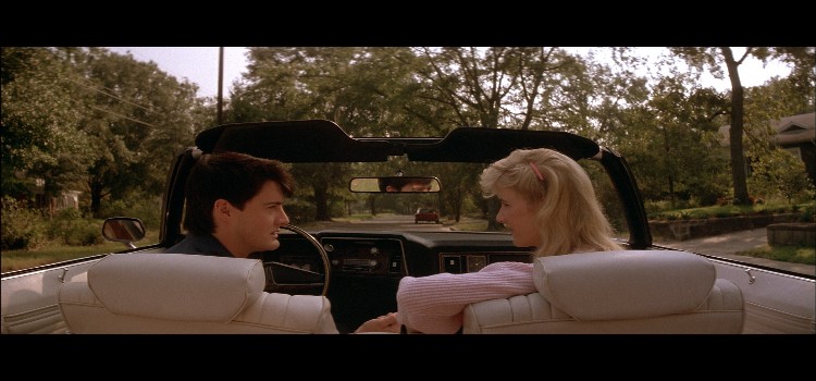 Blue-Velvet-picture